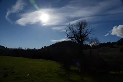 DSC_1069 (Large).JPG